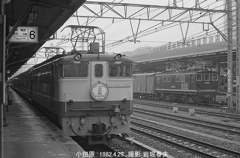 8202503 小田原さくら