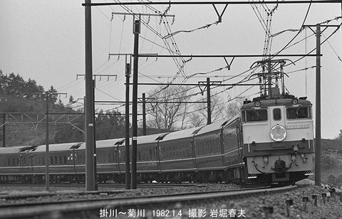 8200225 菊川さくら