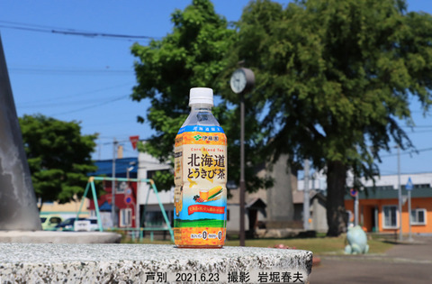 北海道とうきび茶 u6568