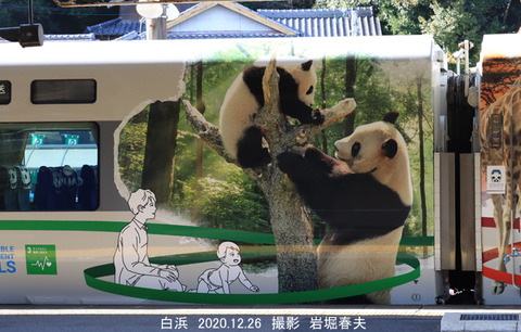 5アドベンチャー 287tz436