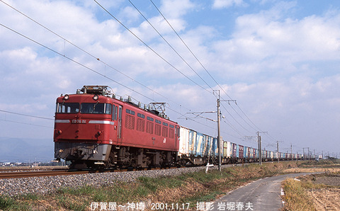 A16402　ED7681伊賀屋