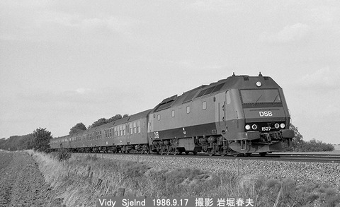 8607423 DSB1527ビビー