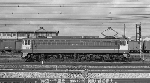 8611521　岸辺EF651047