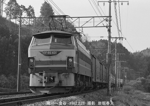 8201020 EF6643菊川