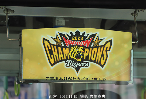 阪神副票 日本一wy878