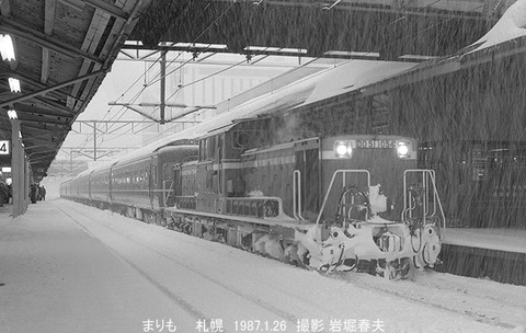 8701402　DD511054まりも札幌