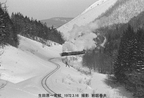 7201808 常紋D51312