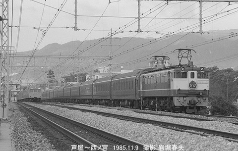 8509308　EF651121なはNA