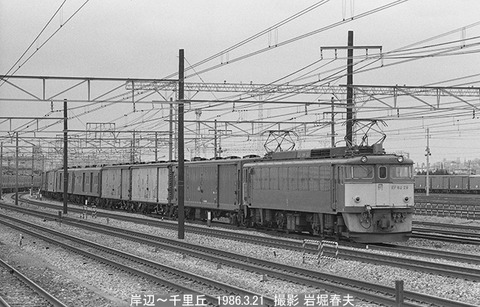8602117 EF6229岸辺