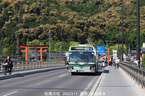 3京都市 、松尾大社w5554
