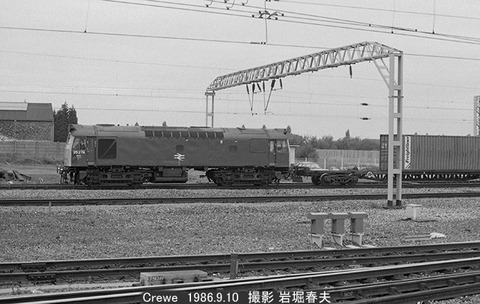 8607112 BR25278クルーエ