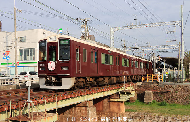 2024年春 仁川を散歩する. : 鉄道写真家 岩堀春夫のblog2