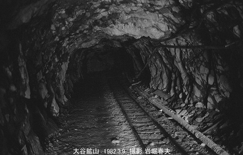 8201228 大谷鉱山