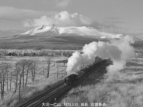 7201320 大沼D52235