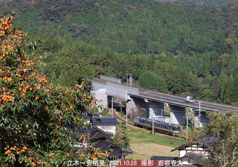 223 ,立木安栖里ux091