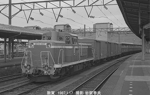 8700505　DE101117敦賀