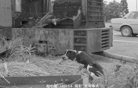 8503409 尋木建設GL