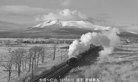 7201320　大沼D52235