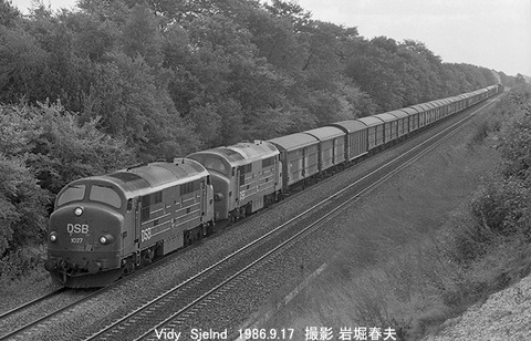 8607414 DSB1027ビビー