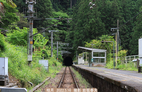 相月 3v5815