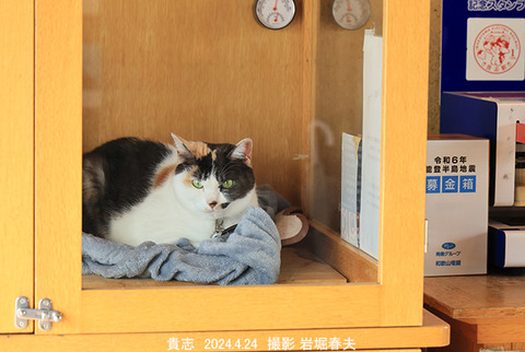 和歌山 、貴志4x4765