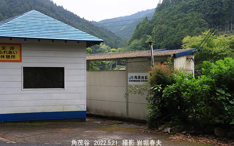 D34　角茂谷1v5951