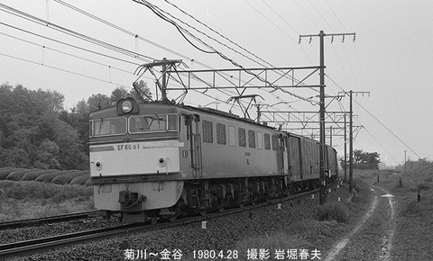 8003017 EF6061菊川