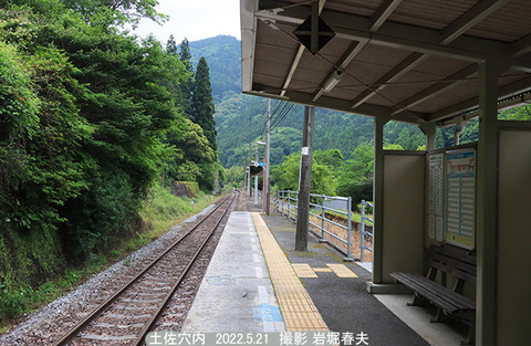 D31　土佐穴内3v5042