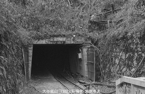 8201226 大谷鉱山