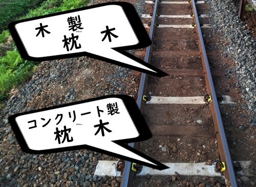 黒554545