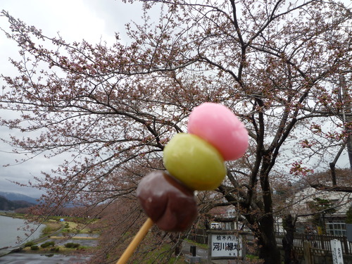 さくら