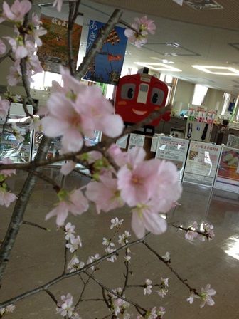 ②さくら