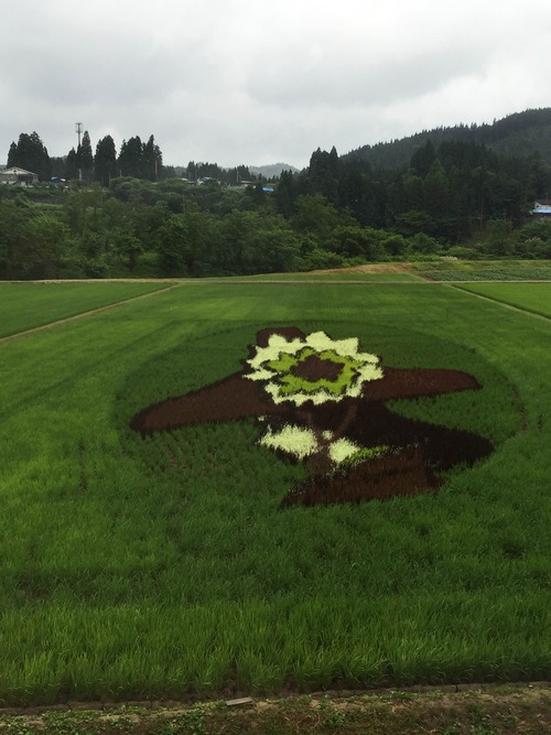 田んぼアート（秋田美人）