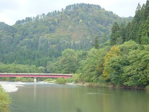 河川公園　橋付近P1020323