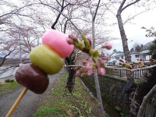 つぼみ