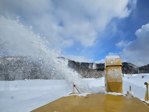 20250201_141743-0jpg