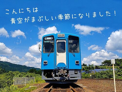 白青48877