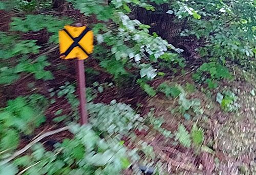 IMG20250812123433黒