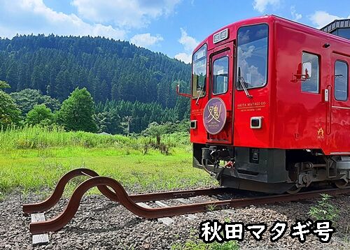 黒484848