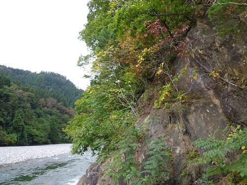 河川公園　阿仁川付近P1020317