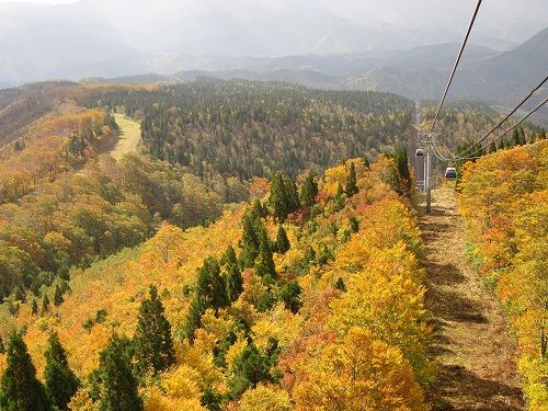 色づく山道　処理　IMG_2013