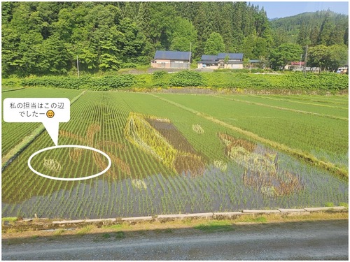 プレゼンテーション5