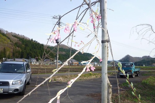 荒瀬②