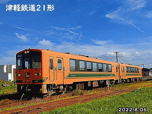 緑5959595995