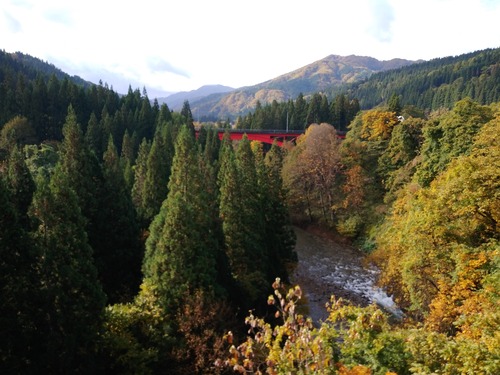 SavedImage_IMG12222_03