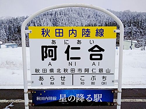 青白59595