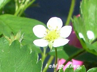 DSCN2139