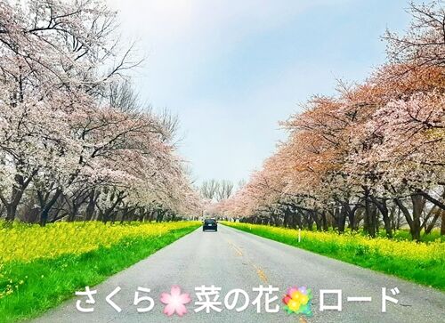 蒼赤5695959