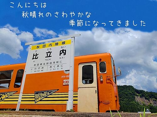 黒654155454