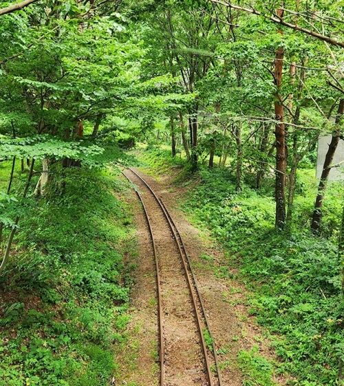 黒赤77999998黒青白